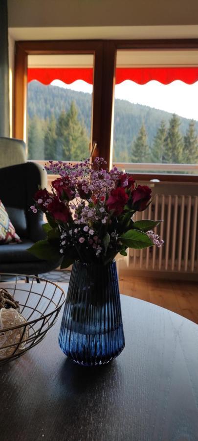 Ferienwohnung Tannenballett Im Schwarzwald Baiersbronn Εξωτερικό φωτογραφία