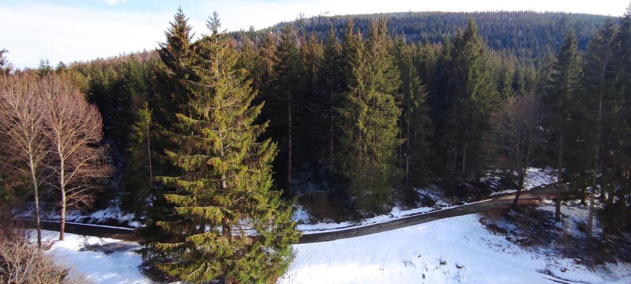 Ferienwohnung Tannenballett Im Schwarzwald Baiersbronn Εξωτερικό φωτογραφία