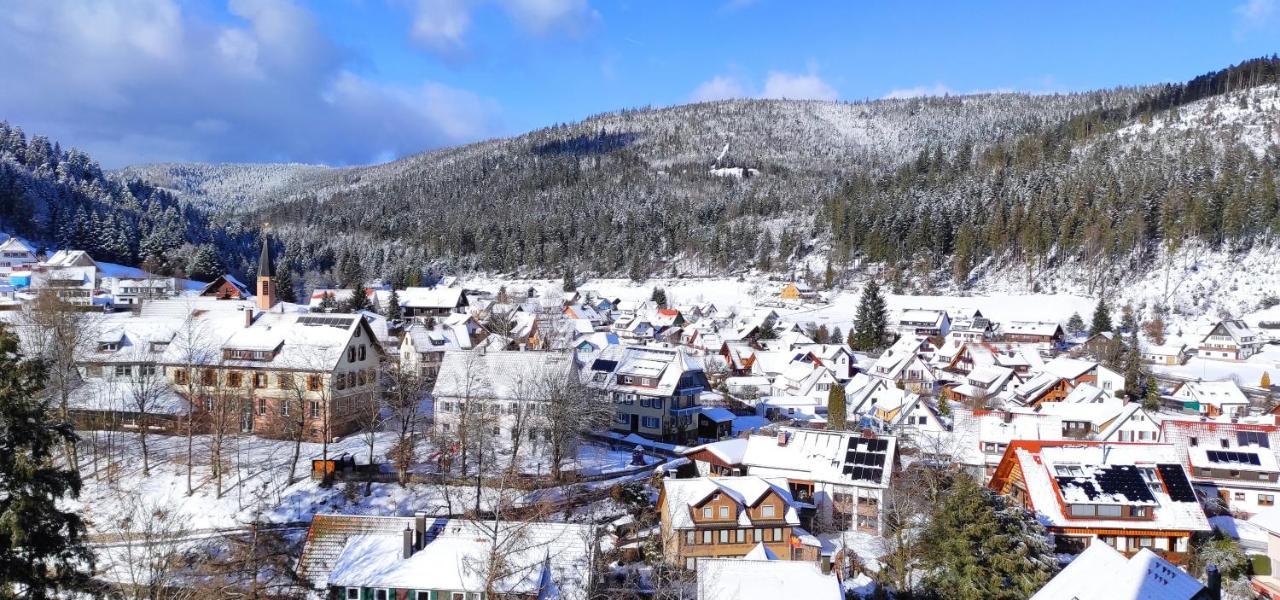 Ferienwohnung Tannenballett Im Schwarzwald Baiersbronn Εξωτερικό φωτογραφία