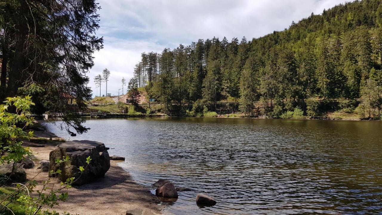Ferienwohnung Tannenballett Im Schwarzwald Baiersbronn Εξωτερικό φωτογραφία