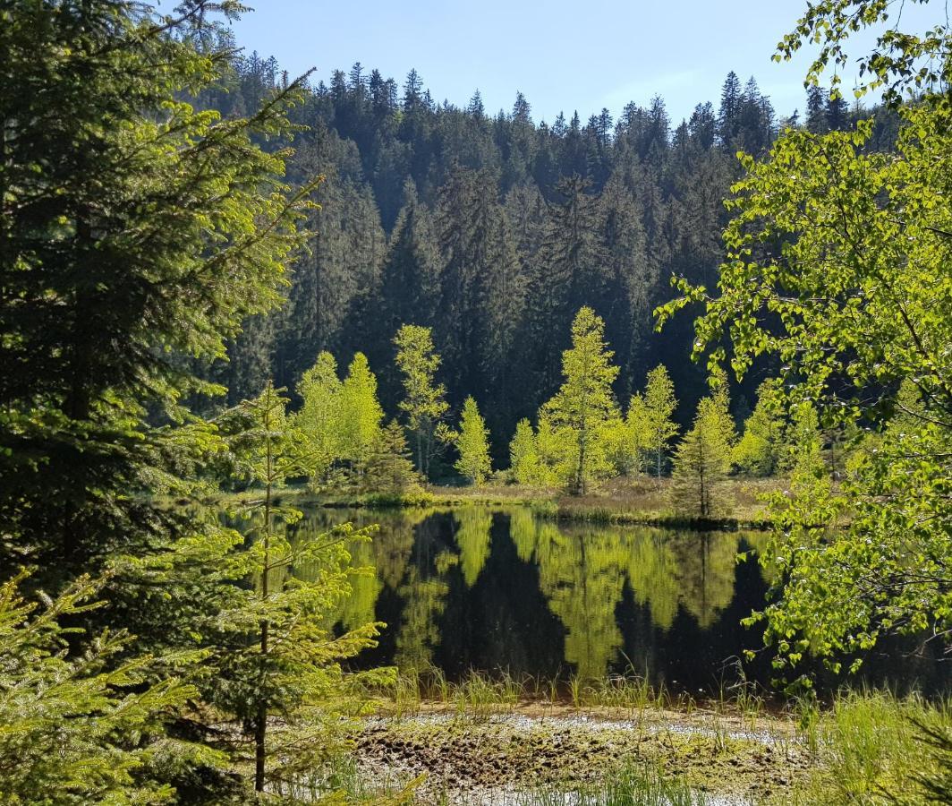 Ferienwohnung Tannenballett Im Schwarzwald Baiersbronn Εξωτερικό φωτογραφία