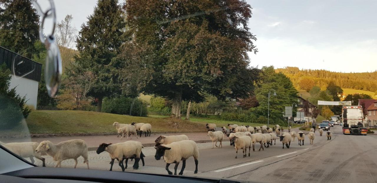 Ferienwohnung Tannenballett Im Schwarzwald Baiersbronn Εξωτερικό φωτογραφία