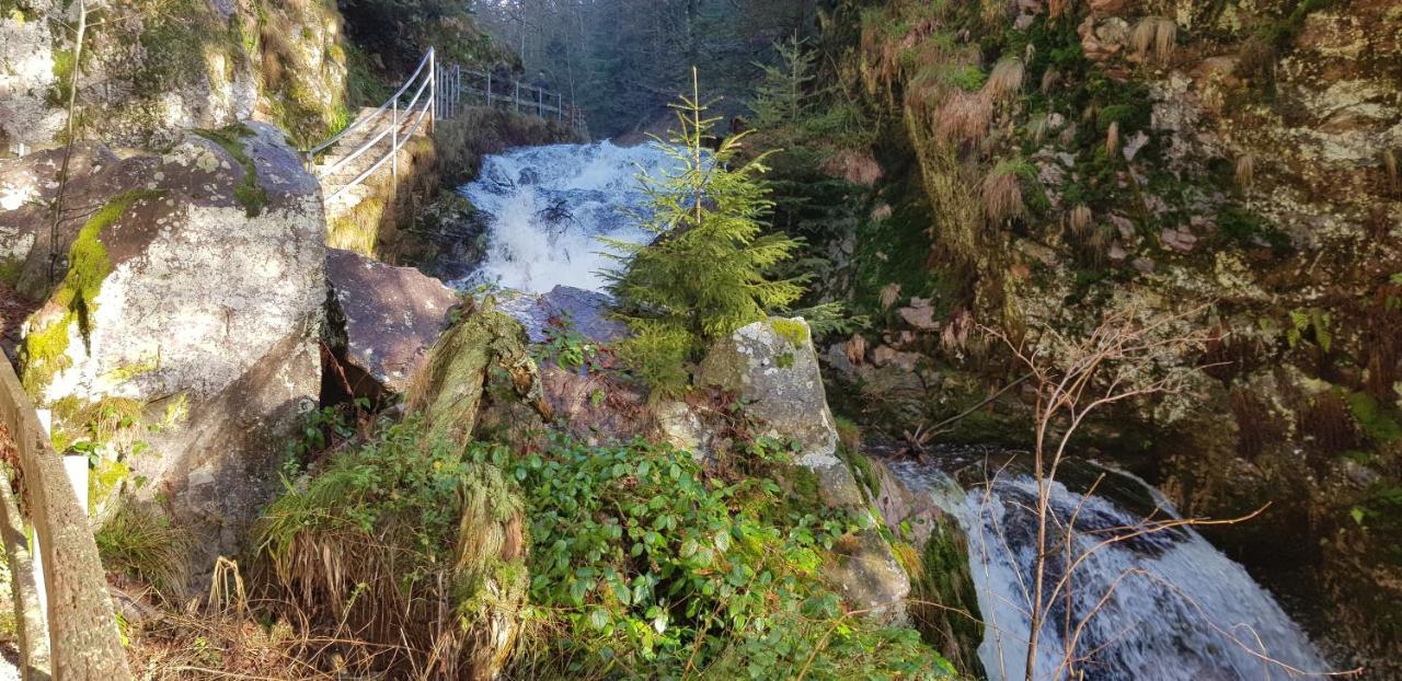 Ferienwohnung Tannenballett Im Schwarzwald Baiersbronn Εξωτερικό φωτογραφία