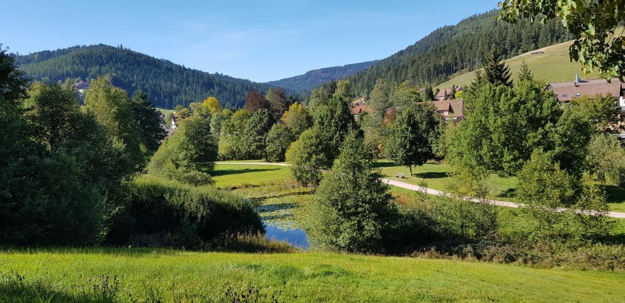 Ferienwohnung Tannenballett Im Schwarzwald Baiersbronn Εξωτερικό φωτογραφία