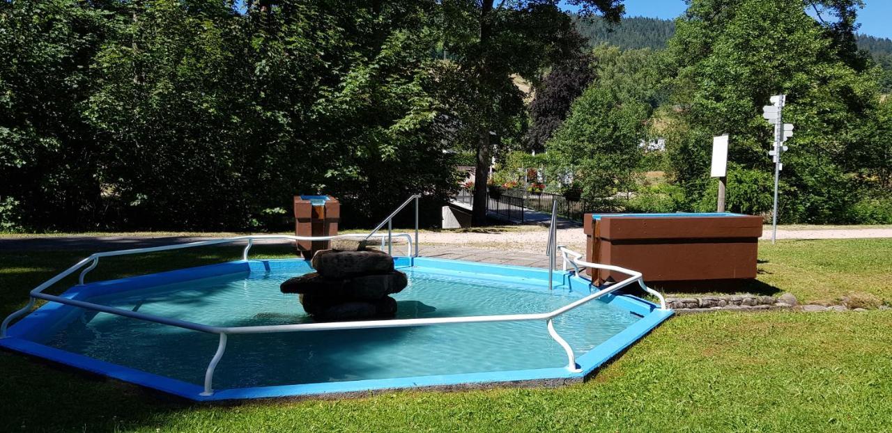 Ferienwohnung Tannenballett Im Schwarzwald Baiersbronn Εξωτερικό φωτογραφία