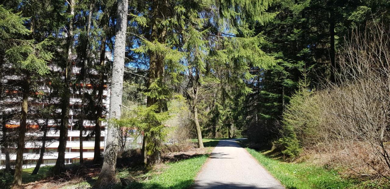 Ferienwohnung Tannenballett Im Schwarzwald Baiersbronn Εξωτερικό φωτογραφία