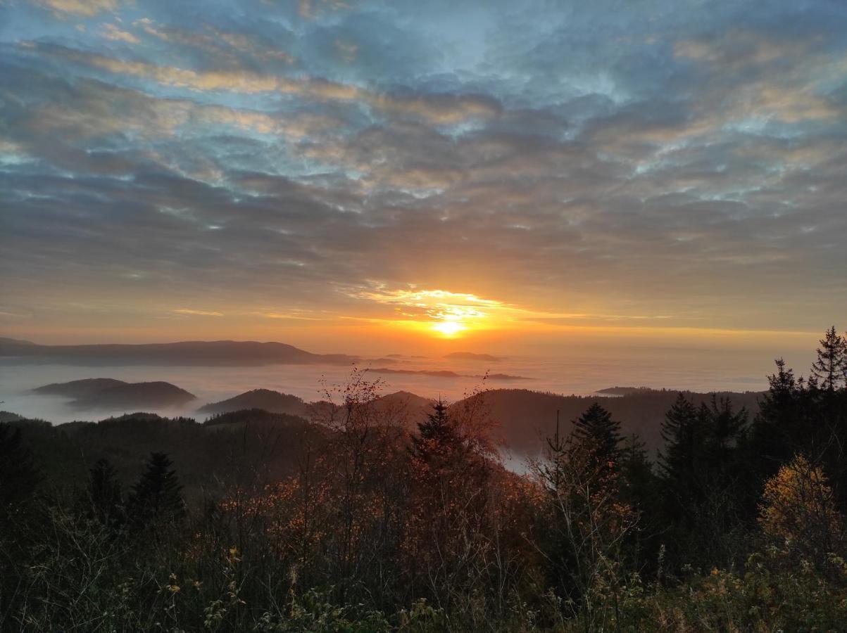 Ferienwohnung Tannenballett Im Schwarzwald Baiersbronn Εξωτερικό φωτογραφία