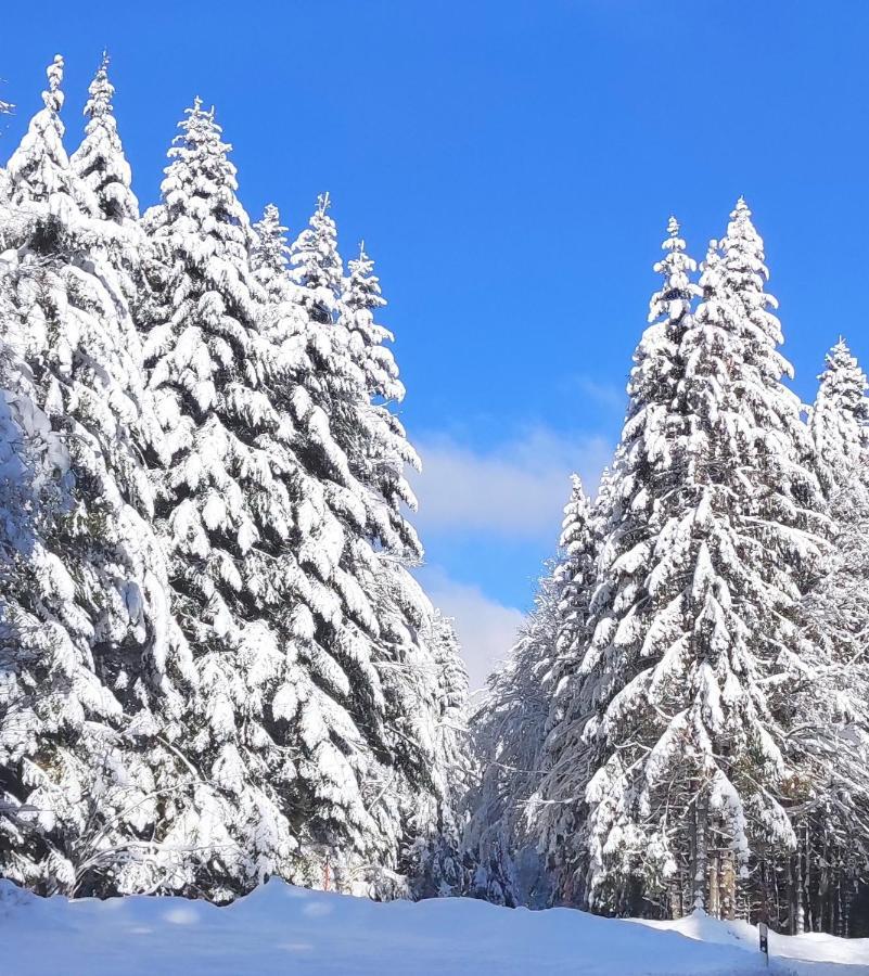 Ferienwohnung Tannenballett Im Schwarzwald Baiersbronn Εξωτερικό φωτογραφία