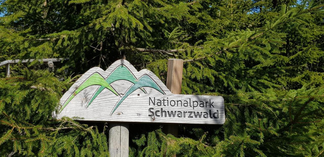 Ferienwohnung Tannenballett Im Schwarzwald Baiersbronn Εξωτερικό φωτογραφία