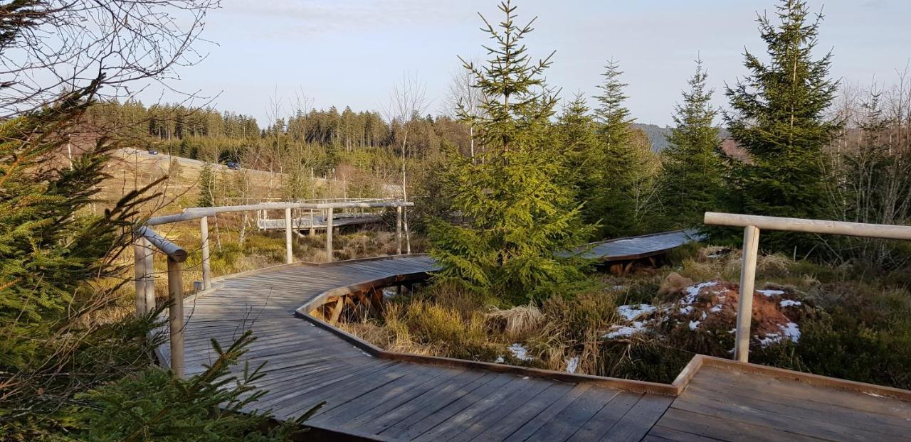 Ferienwohnung Tannenballett Im Schwarzwald Baiersbronn Εξωτερικό φωτογραφία