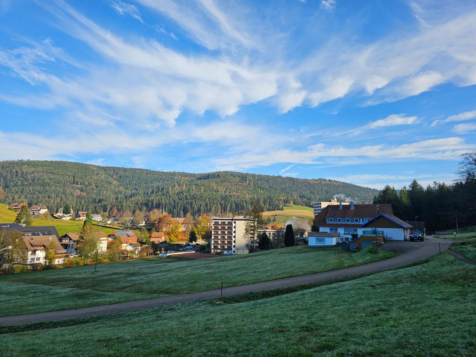 Ferienwohnung Tannenballett Im Schwarzwald Baiersbronn Εξωτερικό φωτογραφία