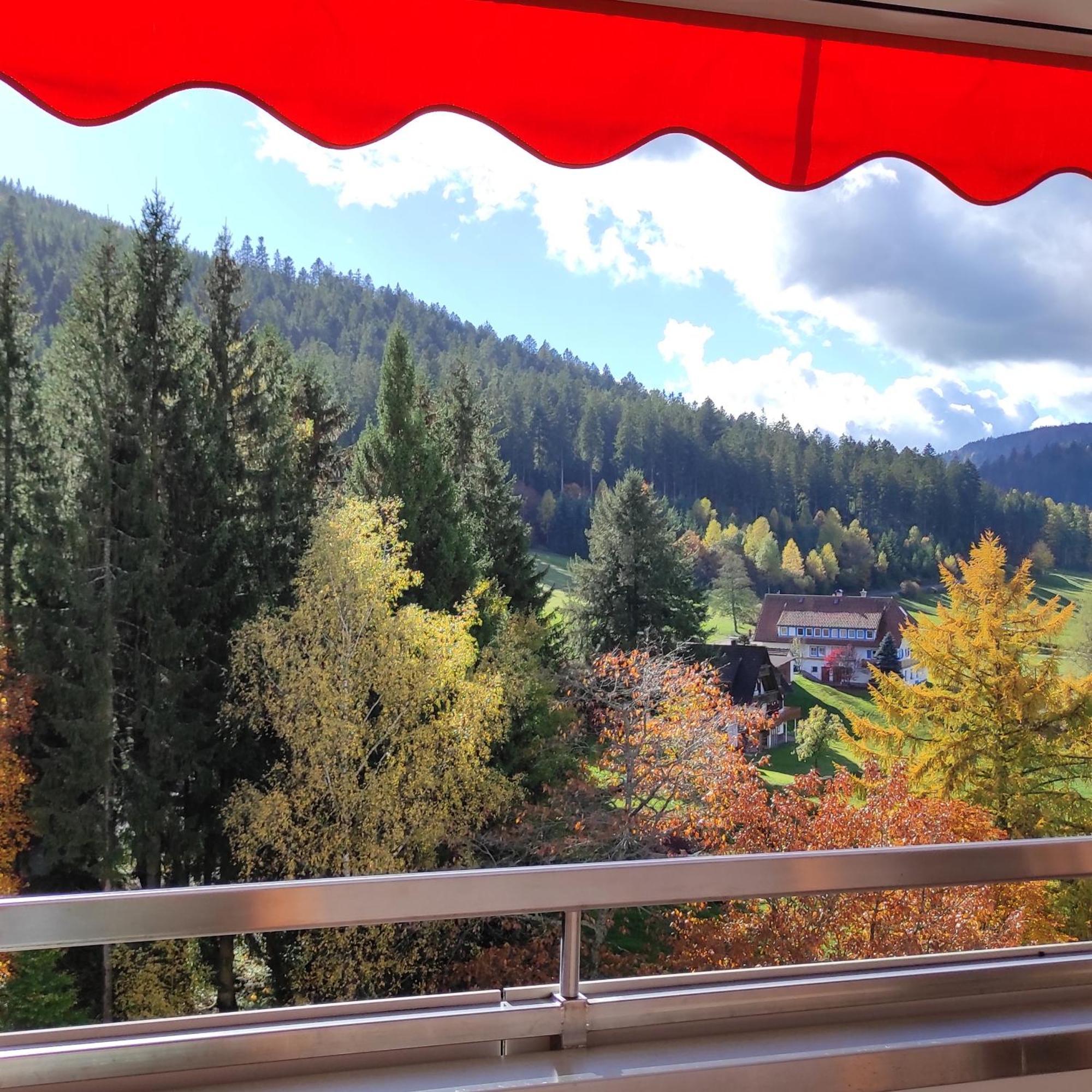 Ferienwohnung Tannenballett Im Schwarzwald Baiersbronn Εξωτερικό φωτογραφία