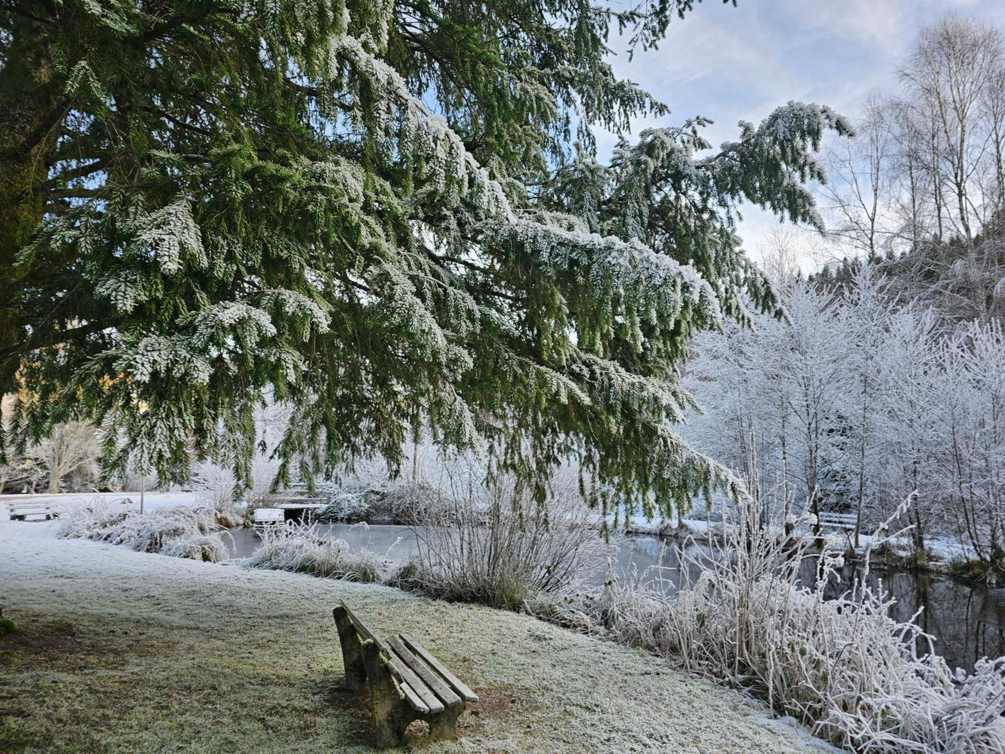 Ferienwohnung Tannenballett Im Schwarzwald Baiersbronn Εξωτερικό φωτογραφία